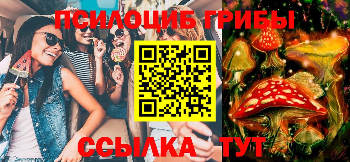 Галлюциногенные грибы мицелий  Вход с VPN  Псилоцибиновые грибы GOLDEN TEACHER  что такое   Карабулак 